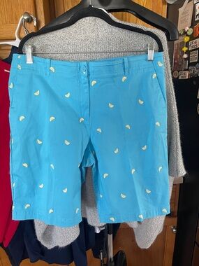 Talbots Shorts Women’s Size 16 Blue Lime Cuts Mid Rise Resort